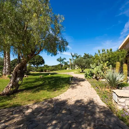 Ulivo Blu Homes *
