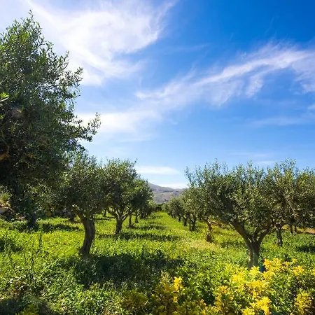 Ulivo Blu Homes Appartement *