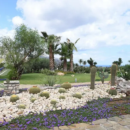 Apartment Ulivo Blu Homes